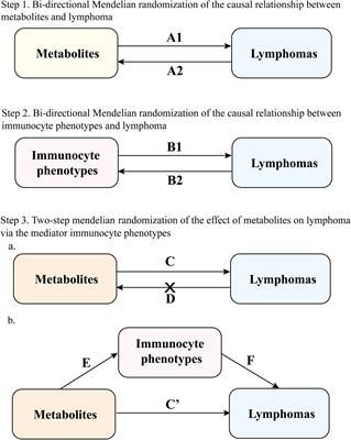 Metabolite, immunocyte phenotype, and lymphoma: a Mendelian randomization study